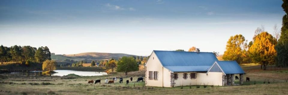 Property building, Neighbourhood, Sunrise