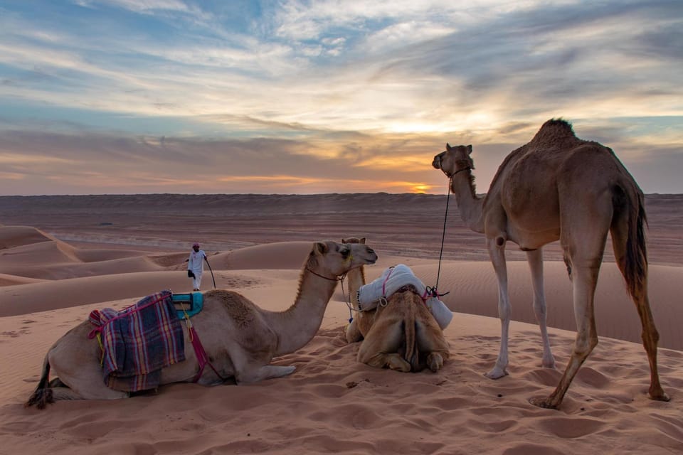 Natural landscape, Activities, Animals, Sunset