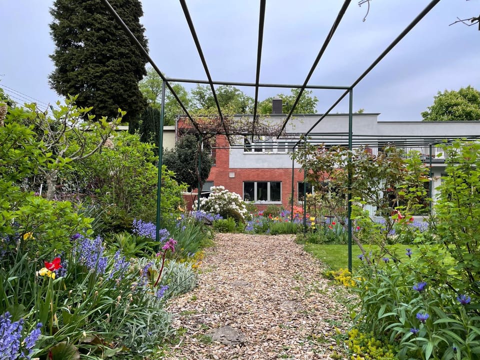 Property building, Spring, Garden, Garden view