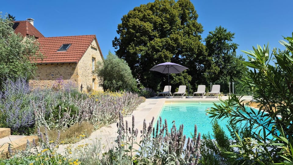 Garden, Swimming pool