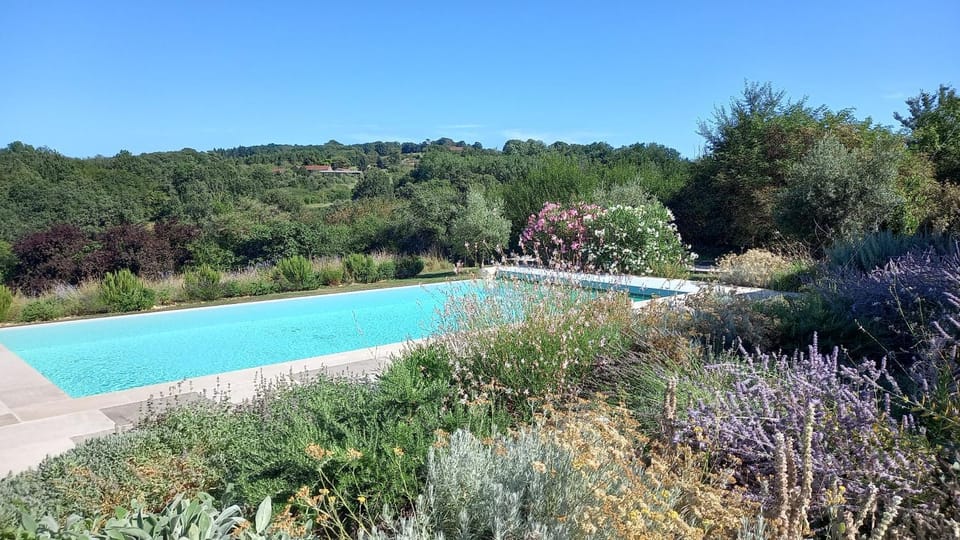 Garden, Swimming pool