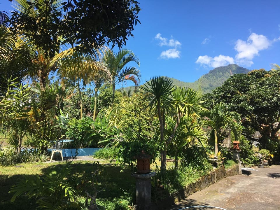 View (from property/room)