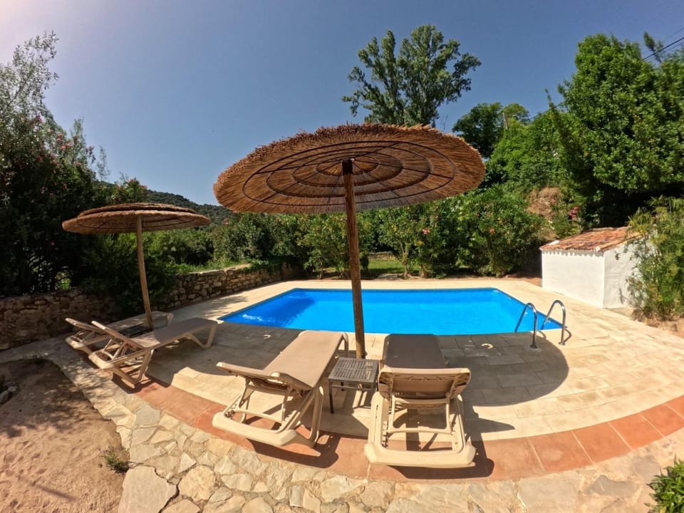 Swimming pool, sunbed