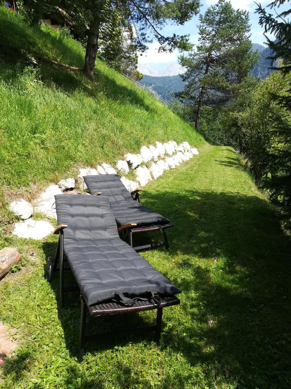 Day, Garden, Garden view, sunbed