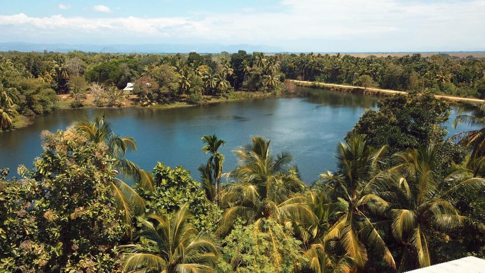 Lake view