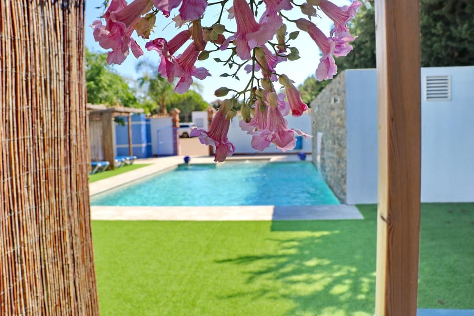 Garden, Swimming pool