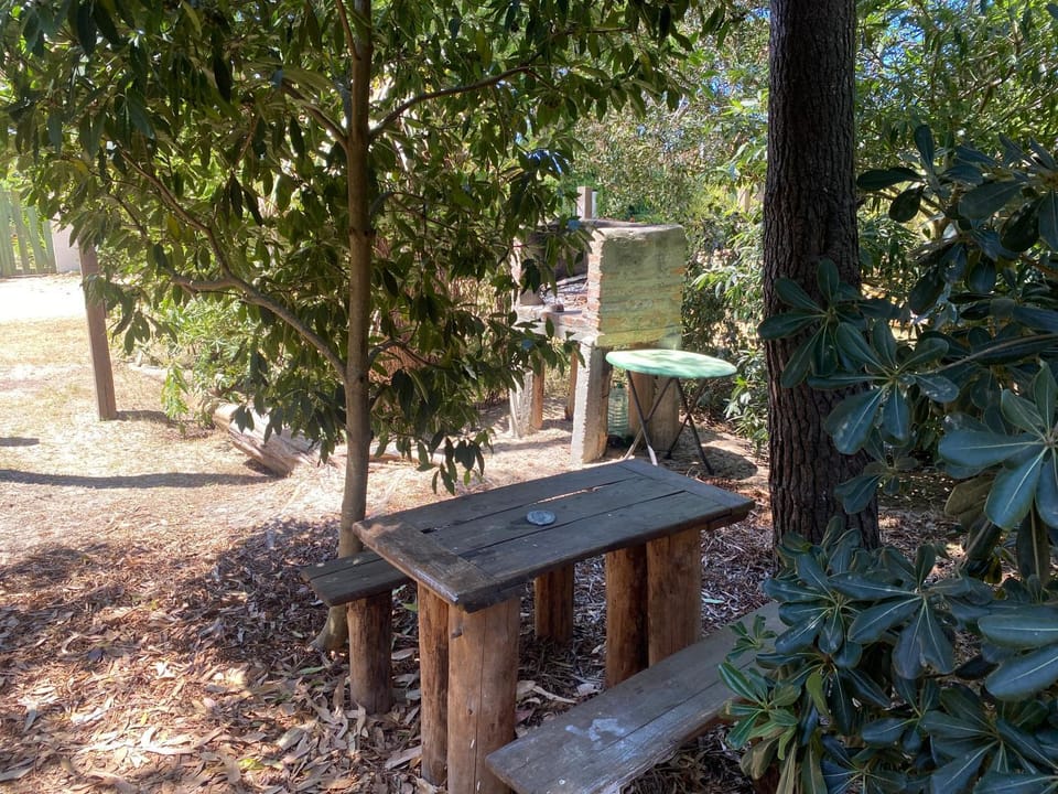 Day, Garden, Garden view