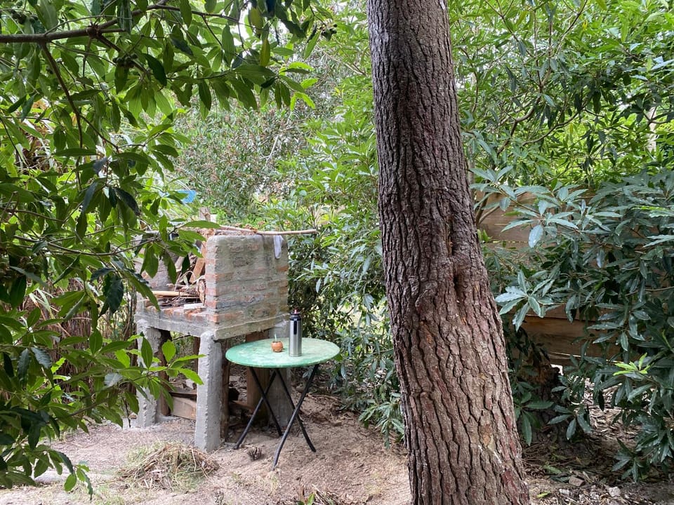 BBQ facilities, Garden view