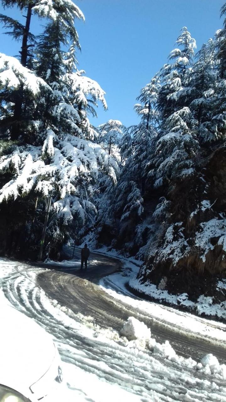 Winter