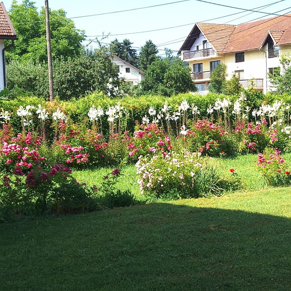 Apartments Kenedy Apartment in Federation of Bosnia and Herzegovina