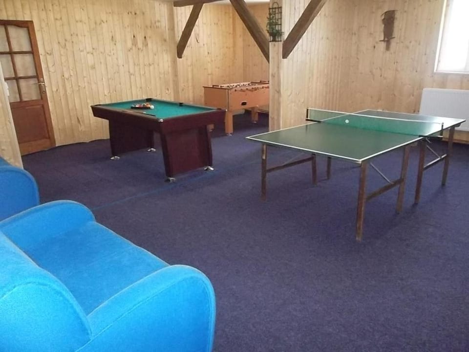 Billiard, Game Room, Table tennis, Table tennis, Sports