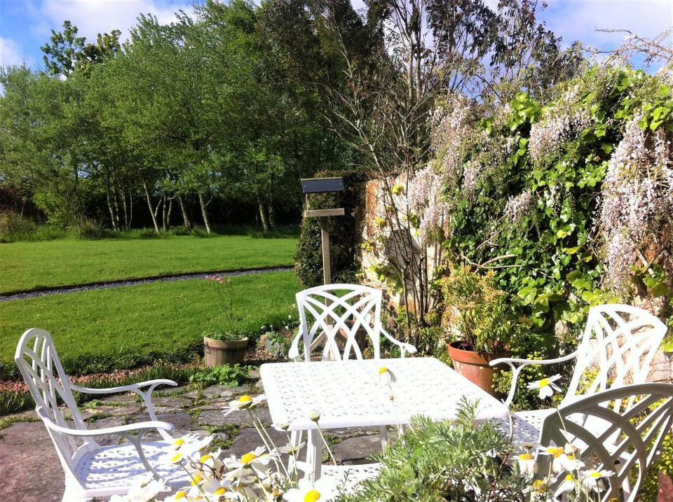 Patio, Garden