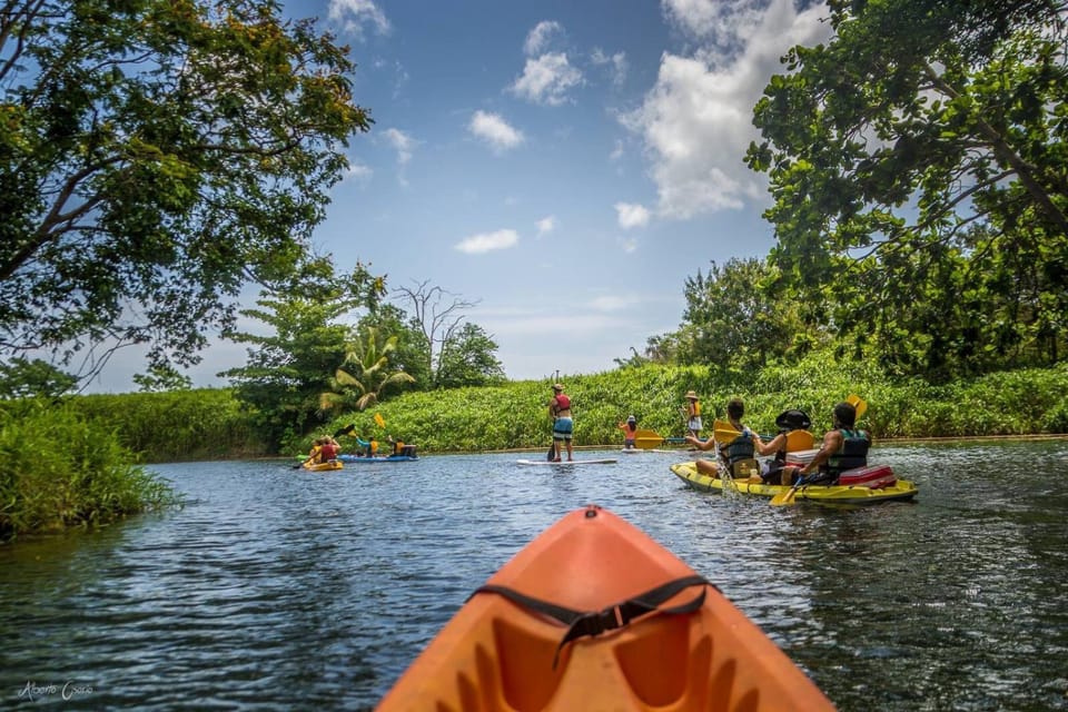 Natural landscape, Activities, Canoeing, Sports, group of guests