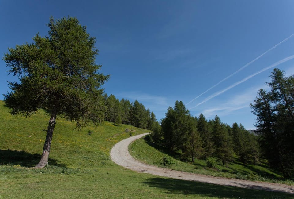 Natural landscape