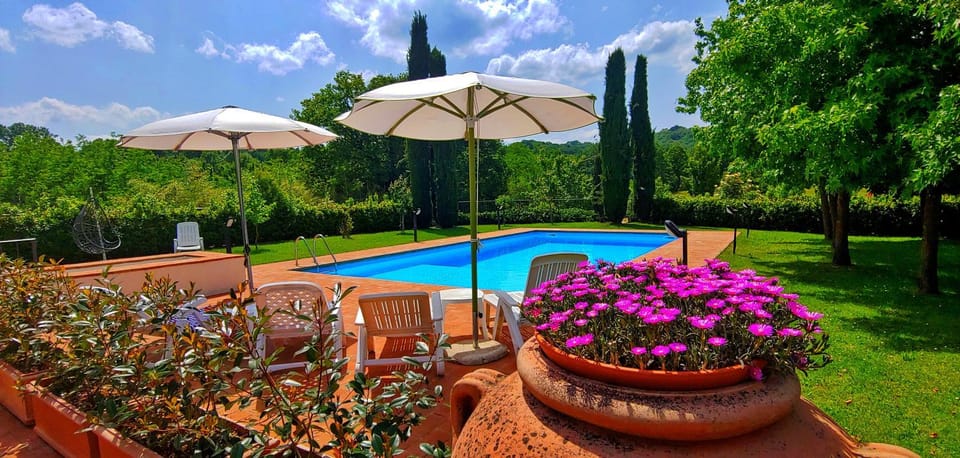 Swimming pool, Swimming pool