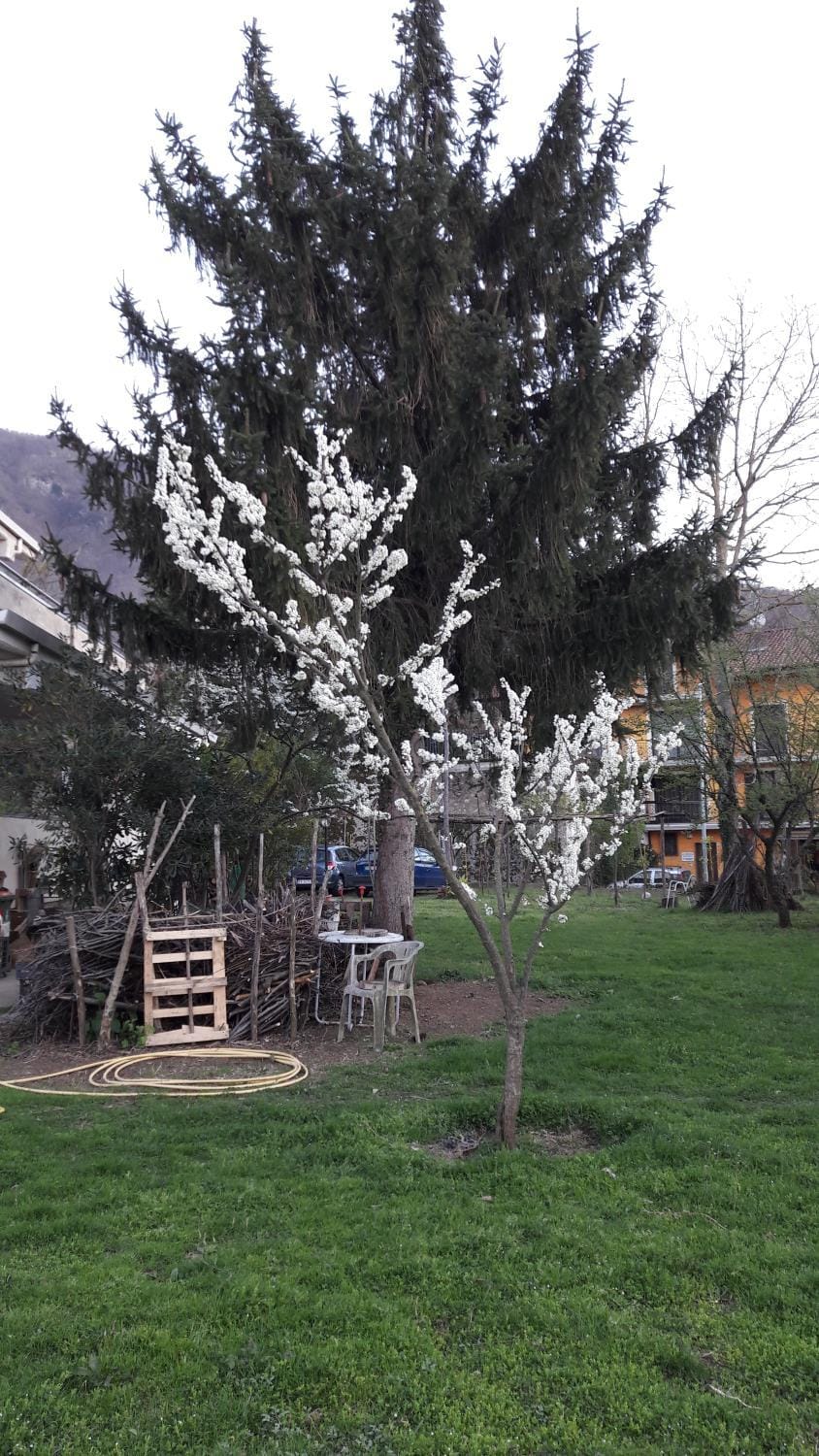 Garden, Garden view
