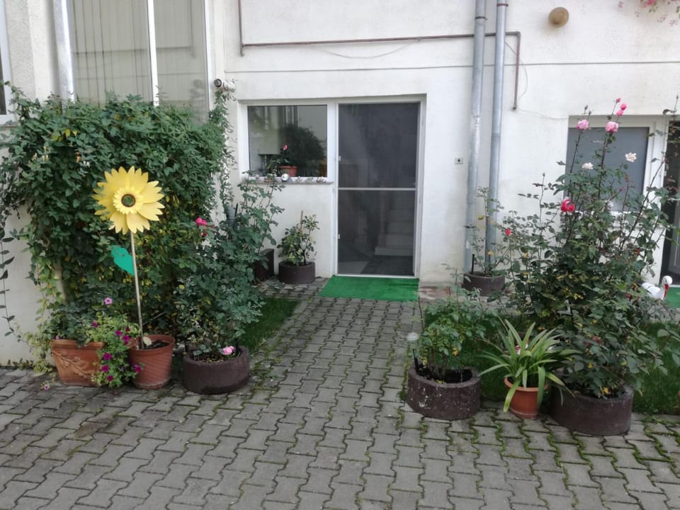 Property building, Other, Other