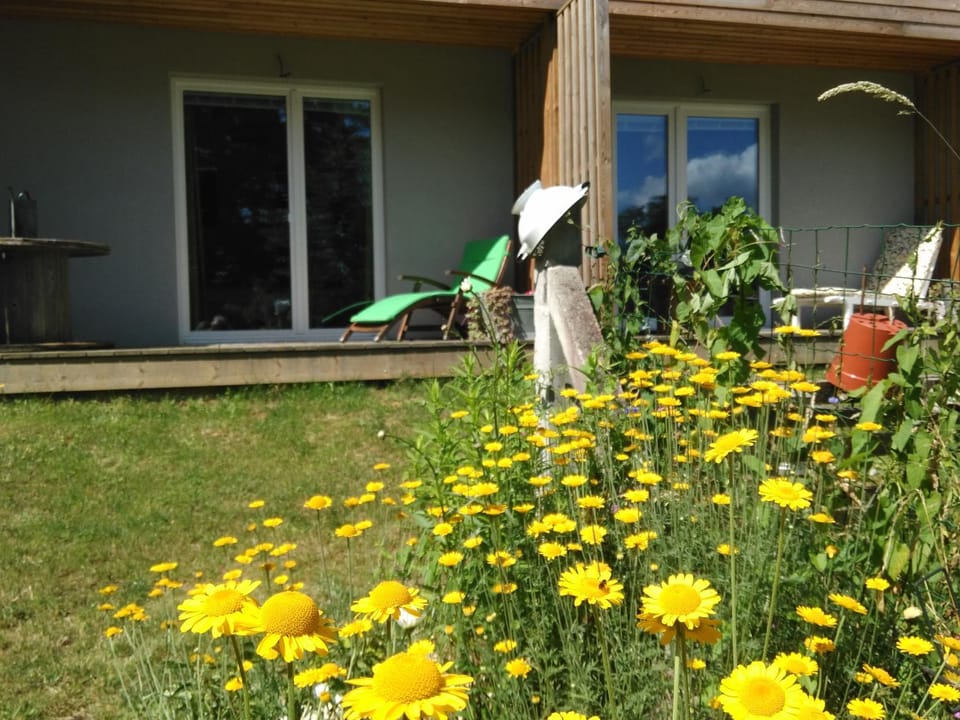 Garden, Balcony/Terrace