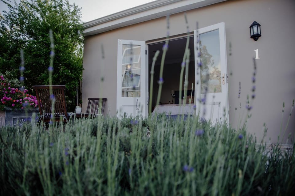 Patio, Facade/entrance