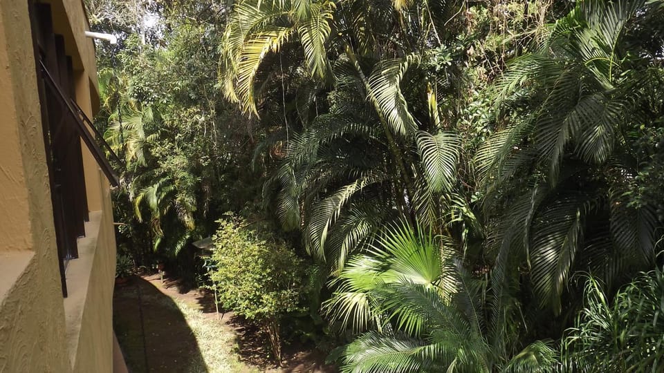 Garden, Garden view
