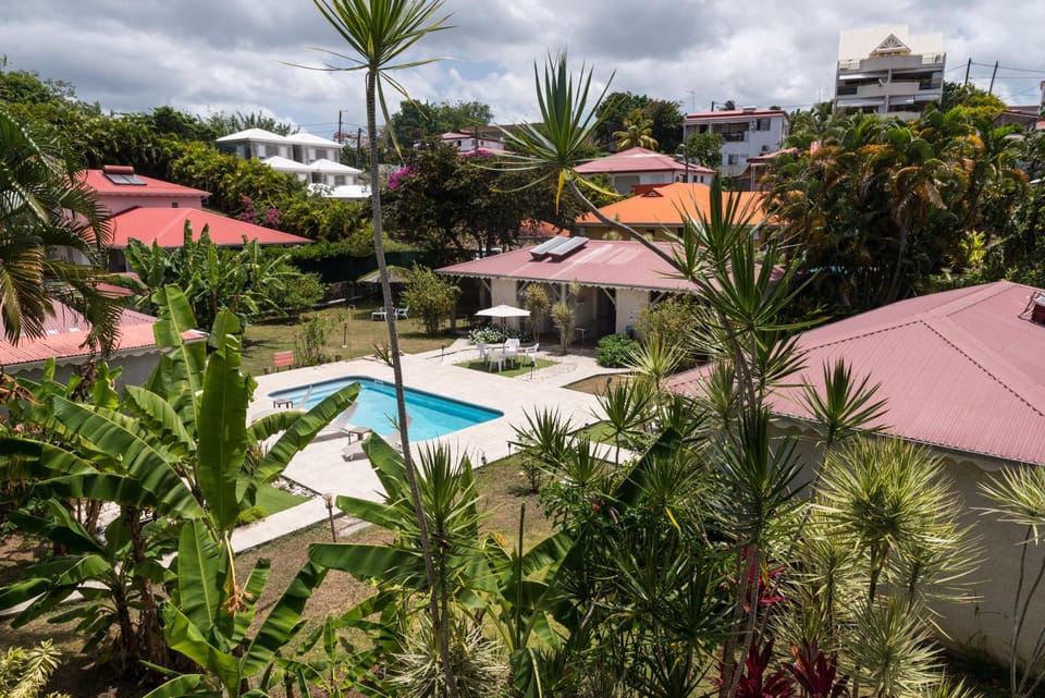 Garden, Swimming pool, sunbed