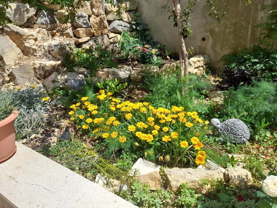 Day, Garden, Garden view