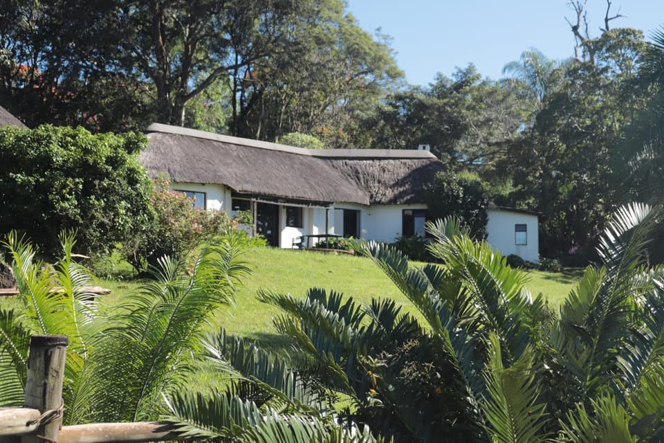Property building, Garden, Garden view