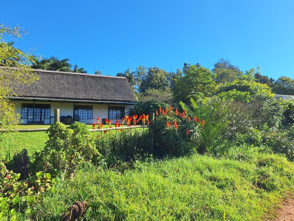 Property building, Day, Natural landscape, Garden, Garden view