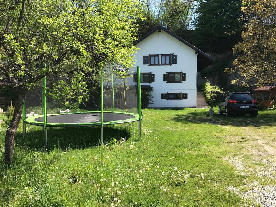 Summer, Garden, Entertainment