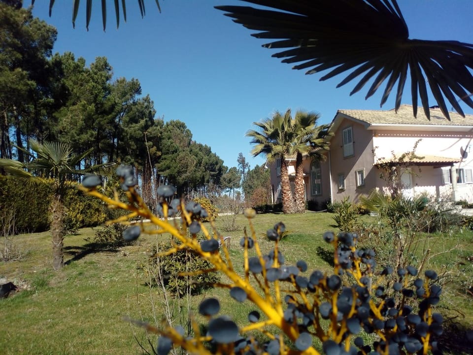Property building, Garden