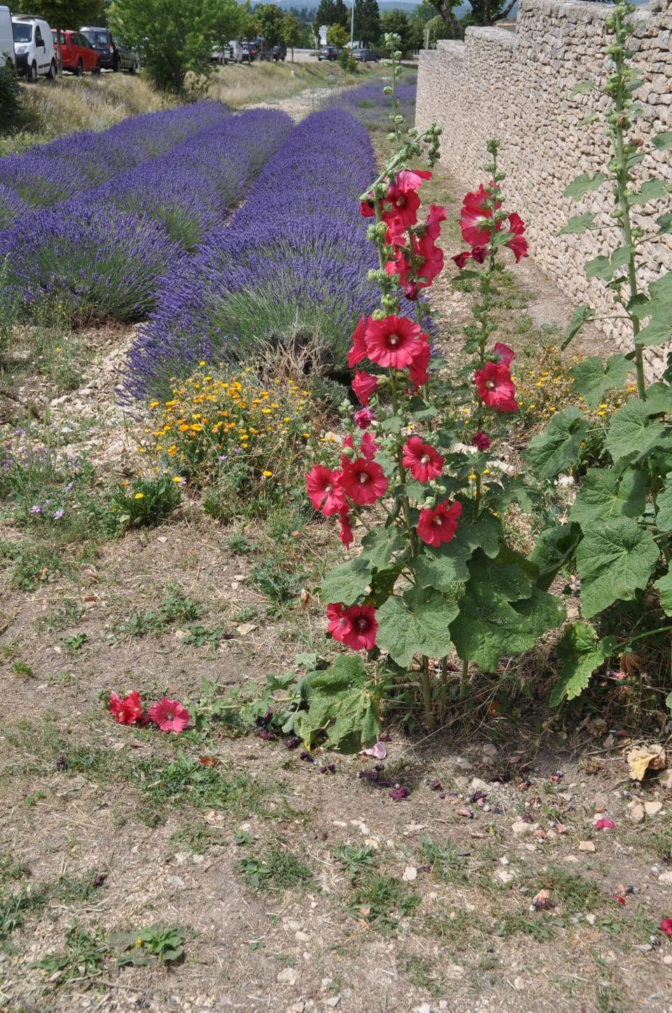 Le Petit Labouret Bed and Breakfast in Provence-Alpes-Côte d'Azur