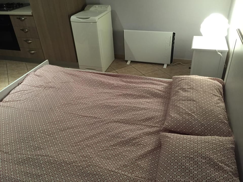 Monolocale Torino Apartment in Turin