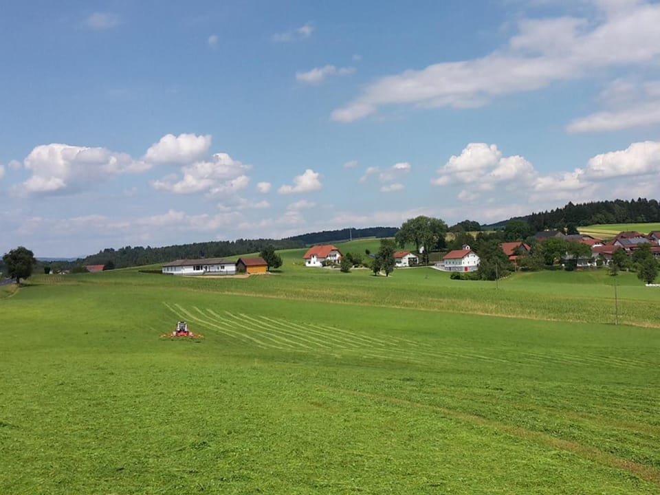 Natural landscape
