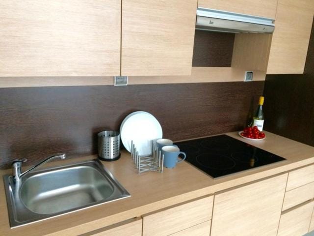 Luxury apartment Piękna Apartment in Warsaw
