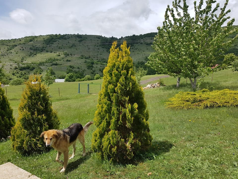 Holiday home Zavičaj House in Montenegro