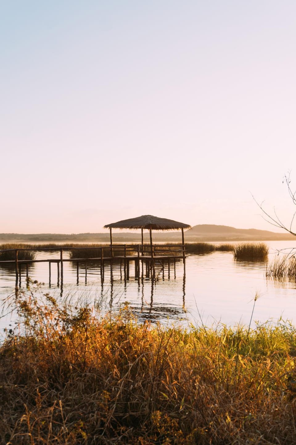 Lake view