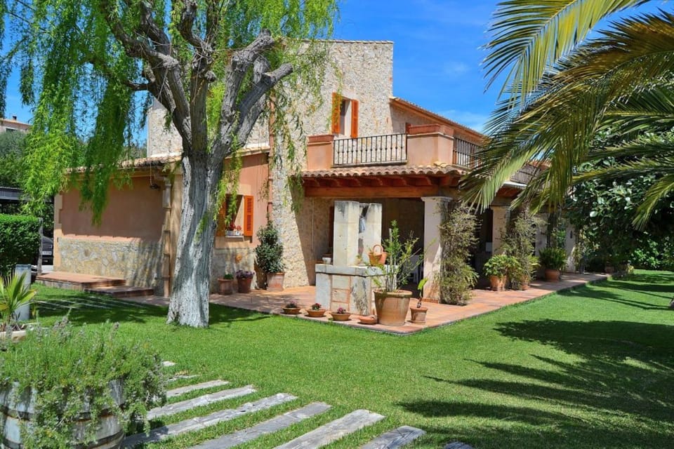 Patio, Garden, Garden view