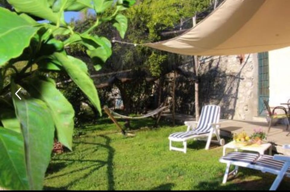 Garden view, sunbed