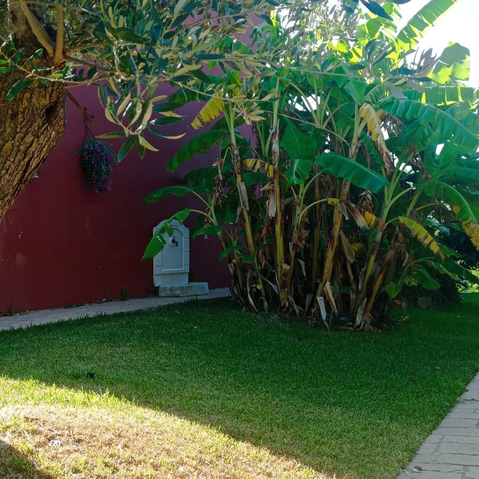 Garden, Garden view