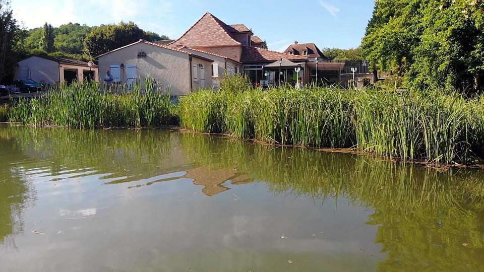 Lake view