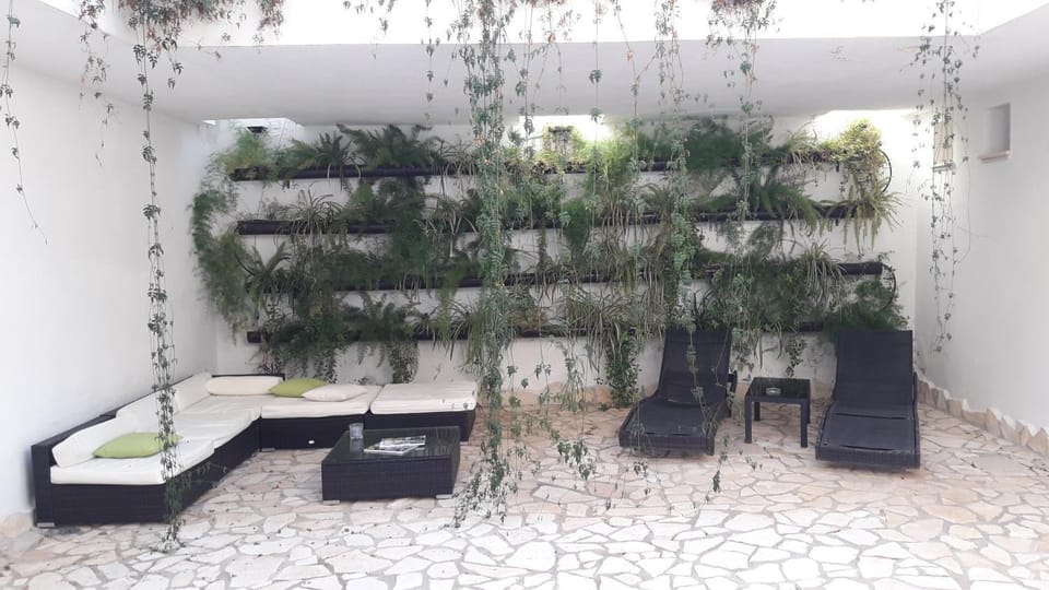 Patio, Day, Living room, Seating area