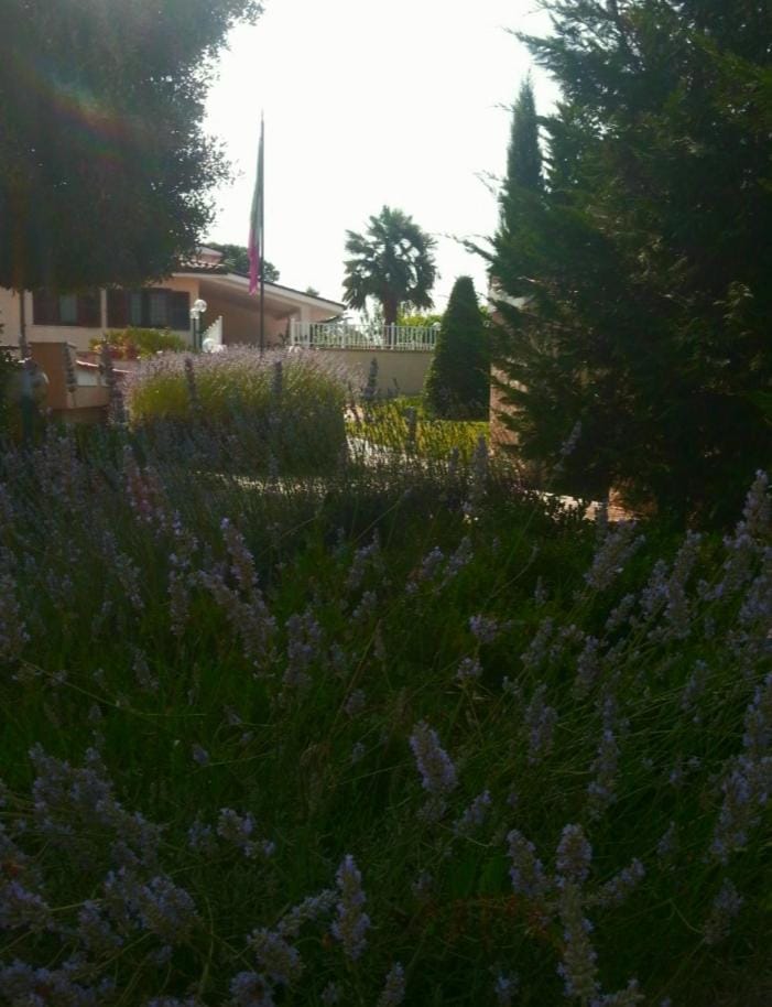 B&B Joy Bed and Breakfast in Lazio