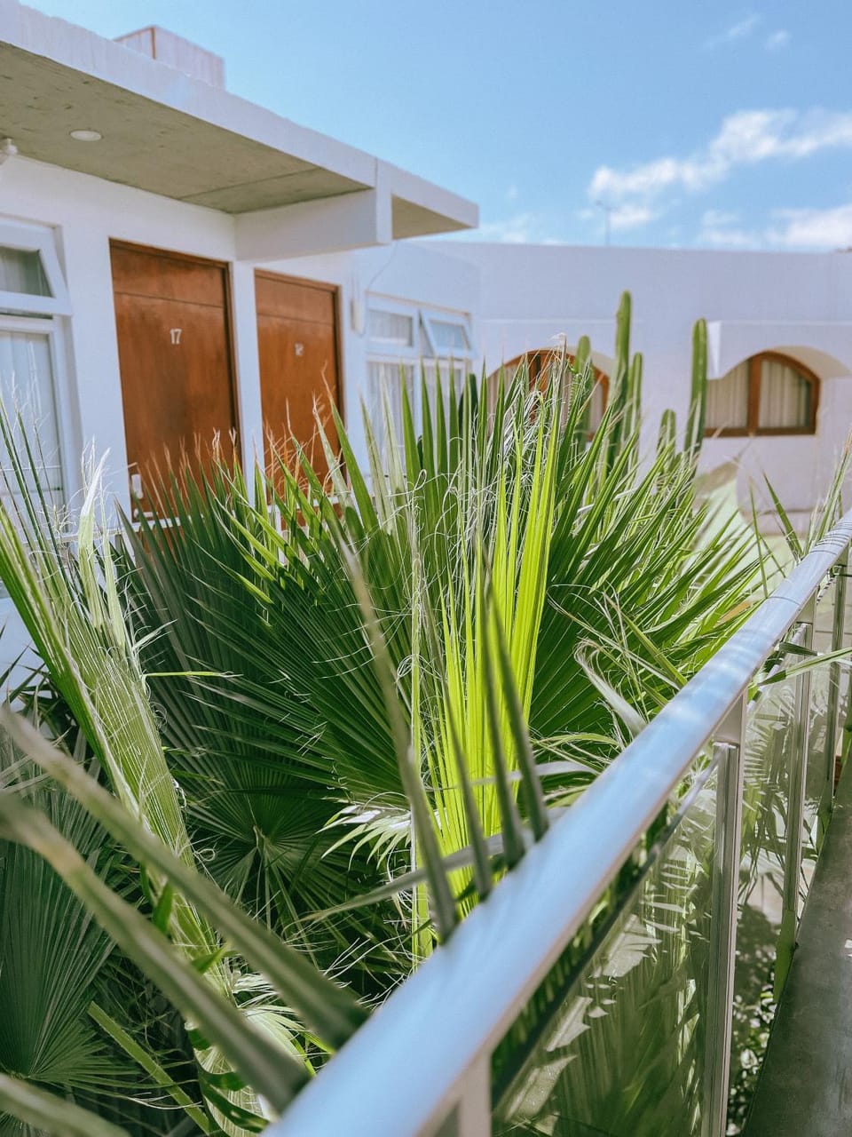 Property building, Day, Garden, Garden view