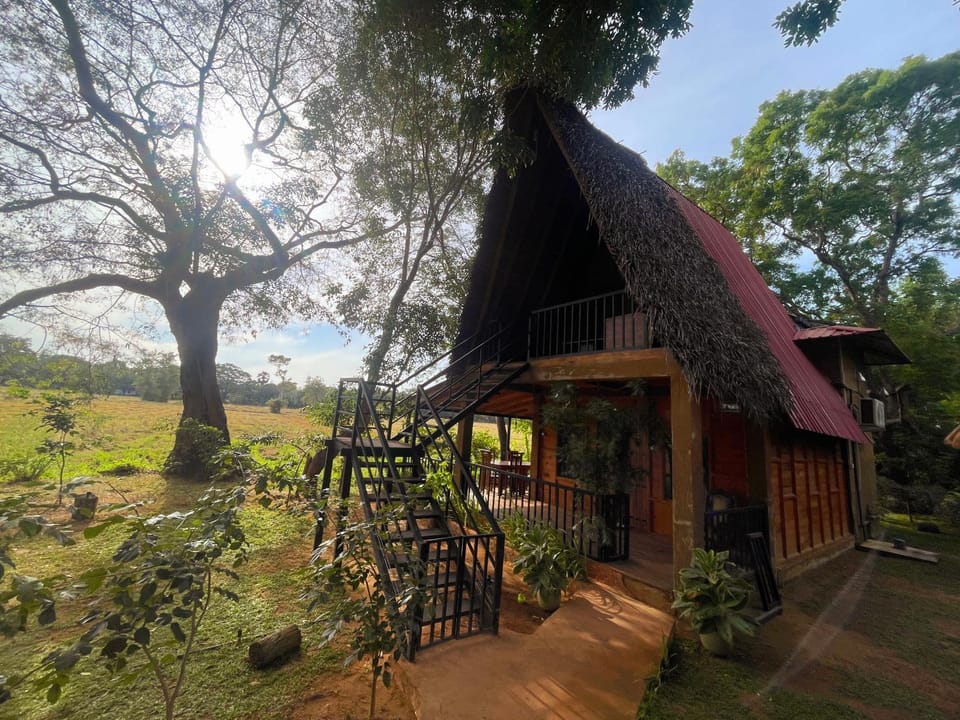 Property building, Day, Natural landscape, Garden view