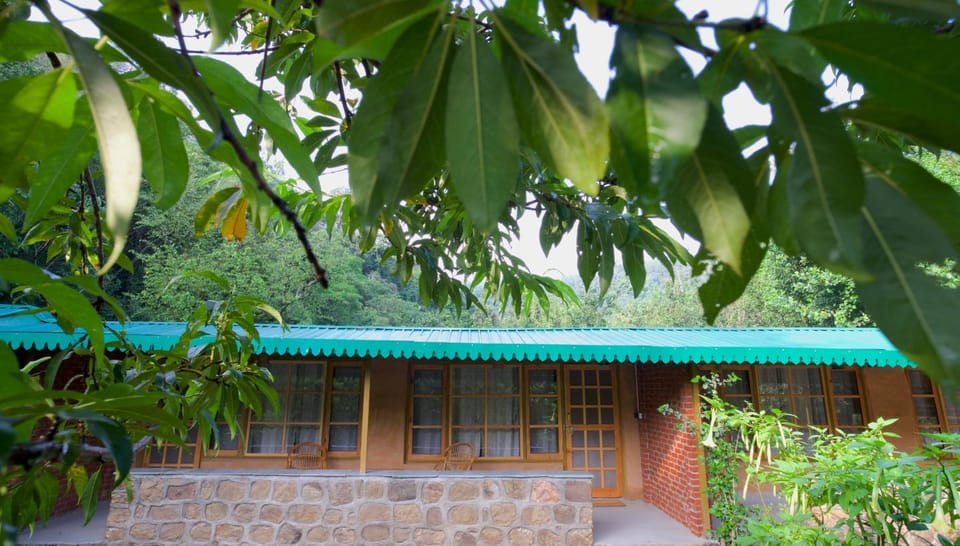 Garden, Garden view