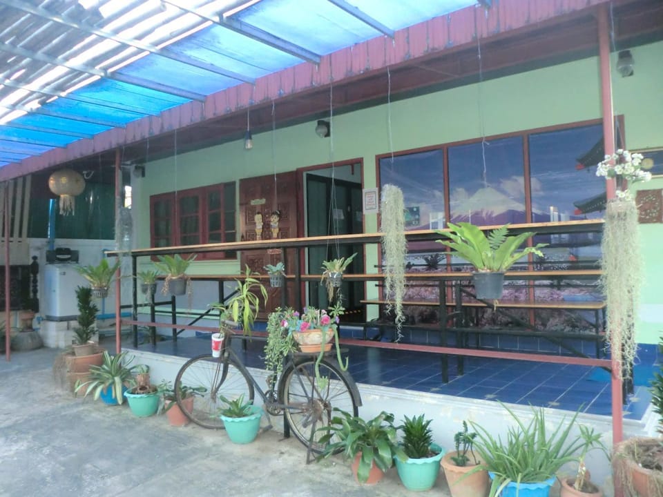 Sakura House Hostel in Chiang Mai
