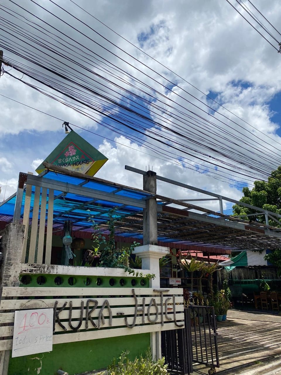 Sakura House Hostel in Chiang Mai