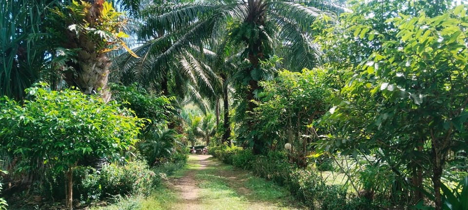 Mada Lanta Mai Keaw Resort in Krabi Changwat