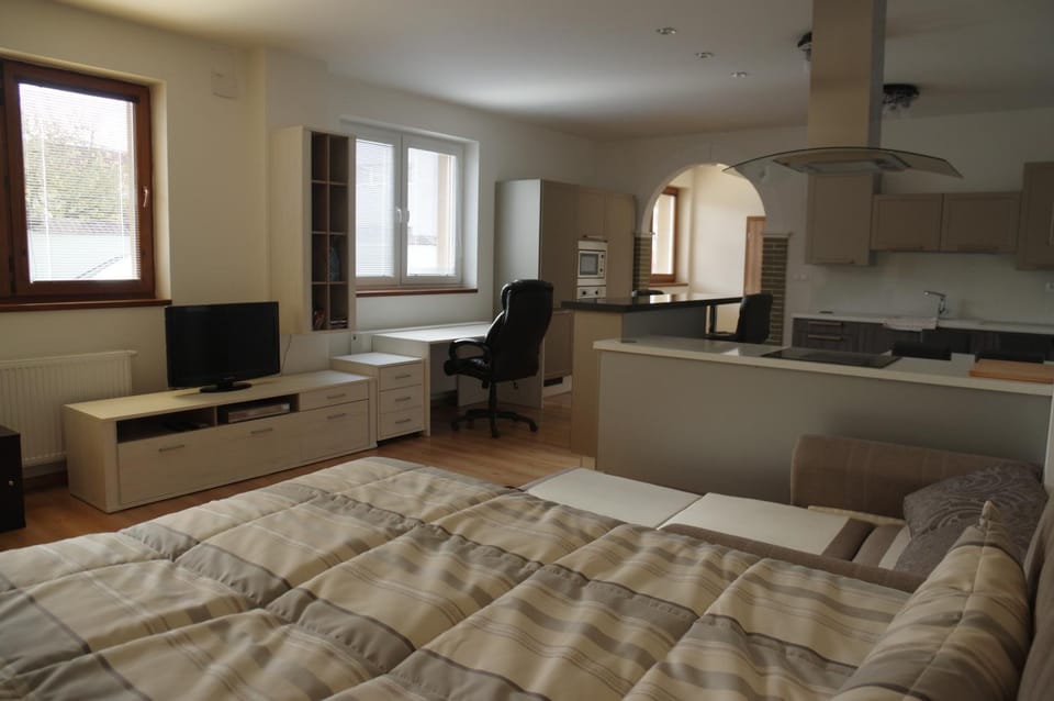 Photo of the whole room