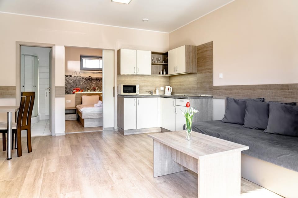 Kitchen or kitchenette, Living room, Dining area